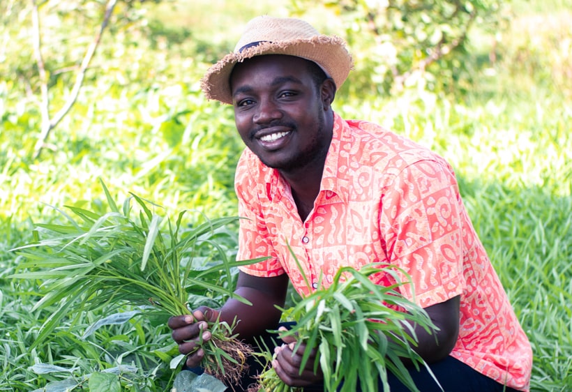 happy-farmer-harvesting-by-hand-southern-africa-trust-1.jpg