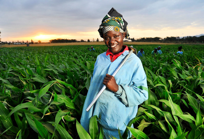 agriculture.jpg