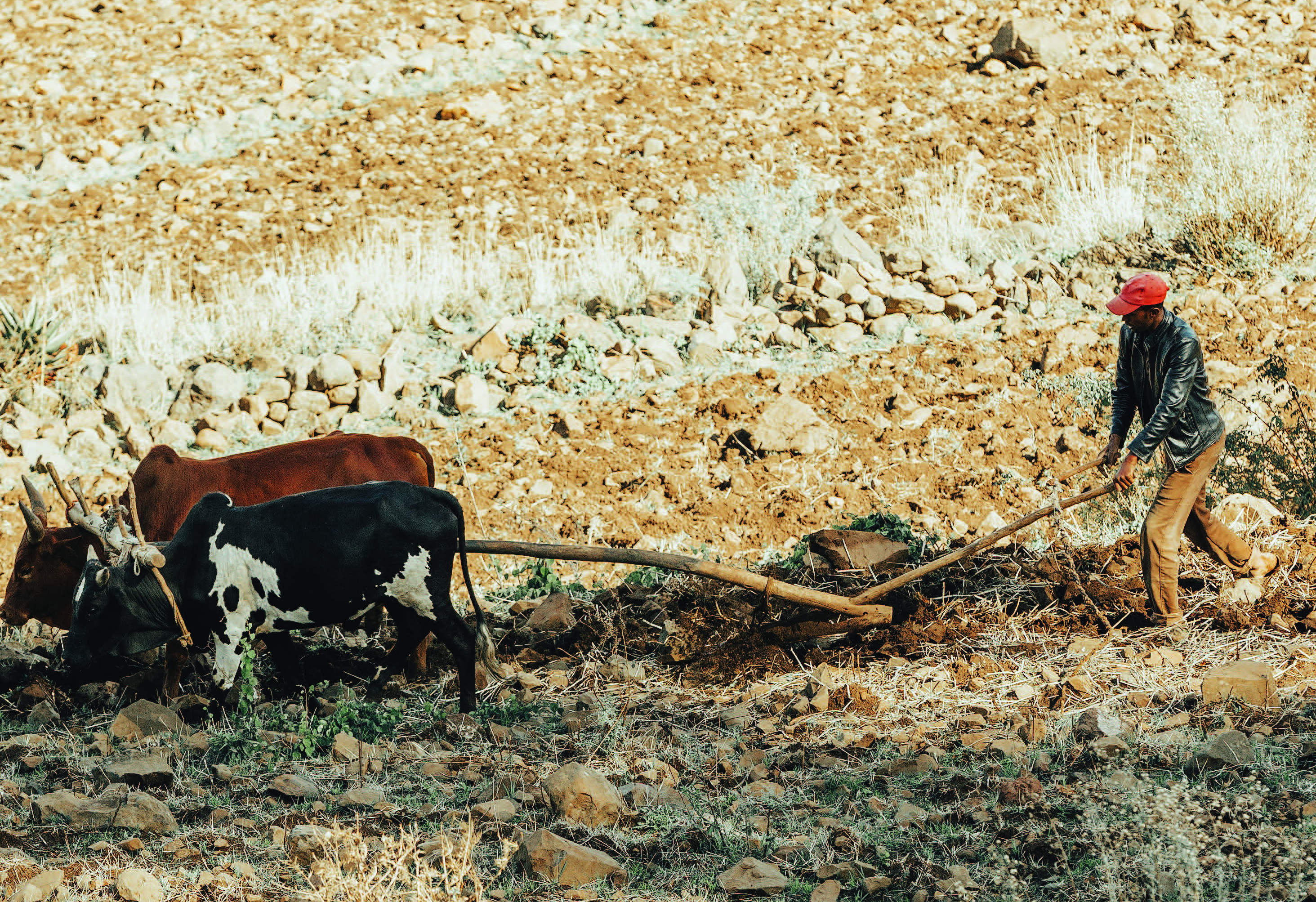 climate-justice-in-southern-africa_page_01.jpg