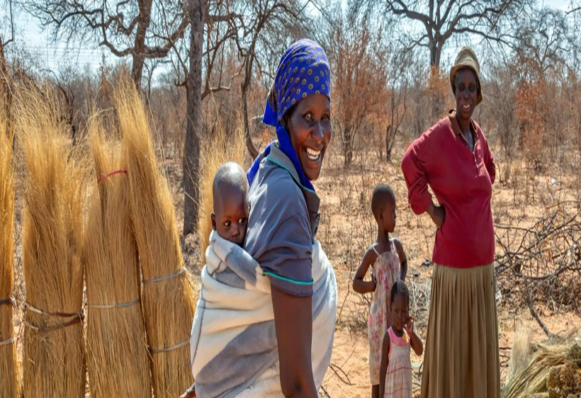 an_analysis_of_poverty_and_inequality_in_southern_africa_during_a_global_pandemic-1.jpg